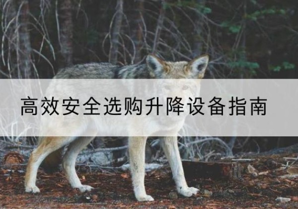 柏乡升降货梯厂家推荐-*安全选购升降设备指南