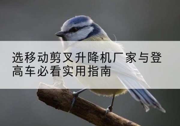 柏乡电动升降机厂家-选移动剪叉升降机厂家与登高车必看实用指南