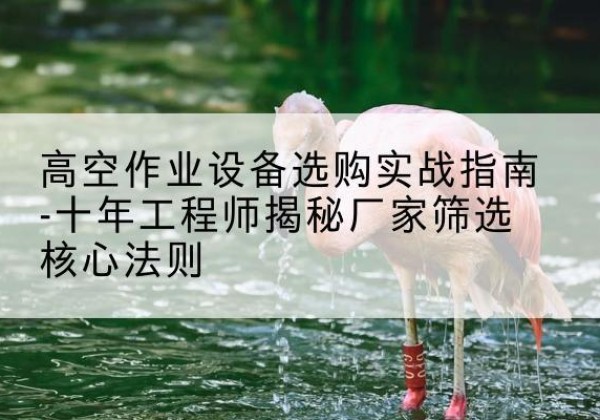 柏乡剪叉式升降机厂家-高空作业设备选购实战指南-十年工程师揭秘厂家筛选核心法则